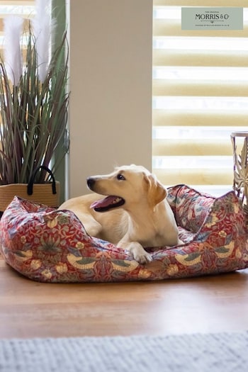 Morris & Co Burgundy Red Strawberry Thief Box Pet Bed (N33558) | £50