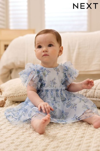 Blue Floral Baby Party Frill Sleeve Dress (0mths-2yrs) (N34689) | £13 - £15