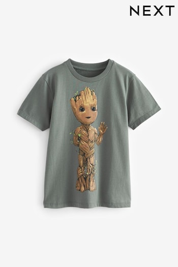 Grey Licensed Guardians of the Galaxy Groot T-Shirt (3-16yrs) (N36066) | £13 - £16