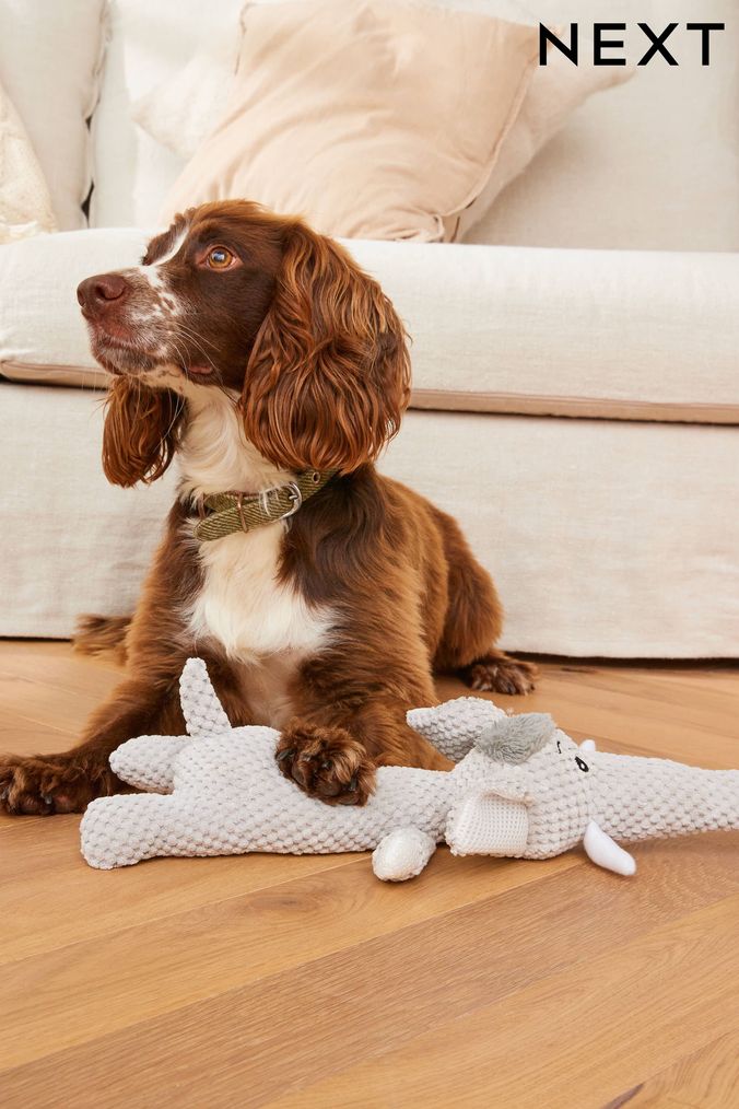 Next grey dog toy shop