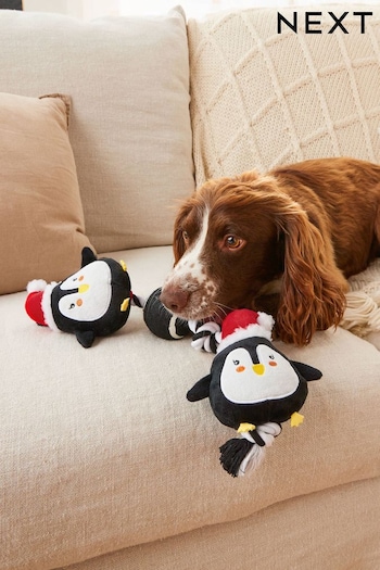 Christmas Penguin Rope and Ball Pet Toy (N41621) | £12