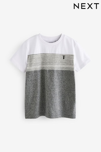 Grey Colourblock Short Sleeve T-Shirt (3-16yrs) (N60930) | £6 - £9