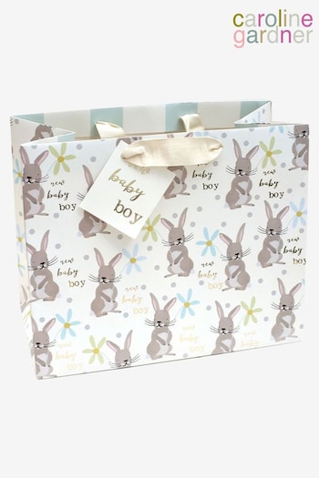 Caroline Gardner Caroline Gardner Rabbit Boy Landscape Giftbag (N61035) | £4.50