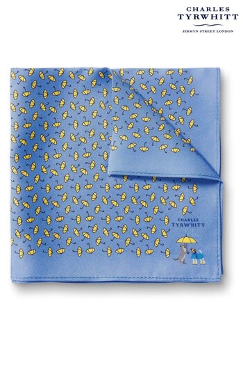 Charles Tyrwhitt Blue Raining Cats and Dogs Print Silk Pocket Square (N62618) | £25