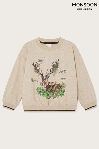 Monsoon Natural Stag WWF-UK Collaboration Sweater (N63079) | £25 - £29