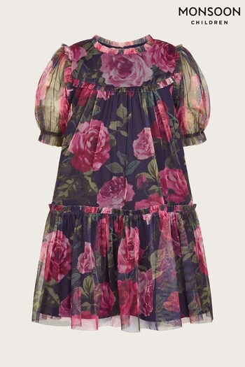 Monsoon Baby Blue Coco Rose Print Mesh Dress (N63109) | £38 - £40