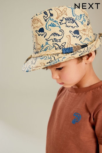 Navy Dinosaur Trilby Hat (1-16yrs) (N66291) | £9 - £11