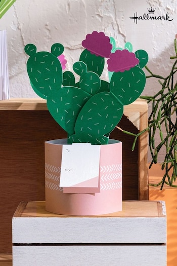 Hallmark Green Just To Say Card 3D Pop Up Cactus (N66928) | £4