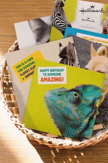 Hallmark Yellow 10 Pack Birthday Cards In 5 Funny Animal Designs (N66951) | £8