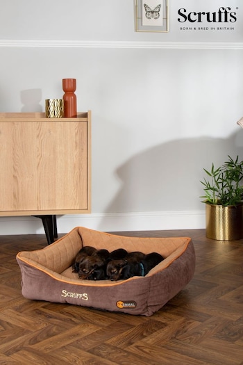 Scruffs Brown Thermal Dog Box Bed (N69504) | £40 - £50