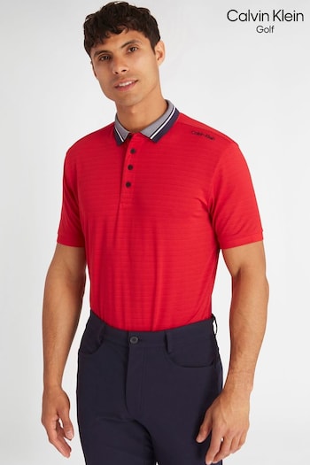 Calvin Klein Golf Blue Parramore Polo Shirt (N70451) | £45