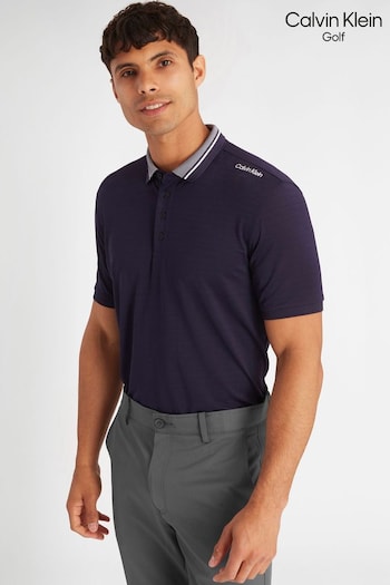 Calvin Klein Golf Blue Parramore Polo Shirt (N70461) | £45
