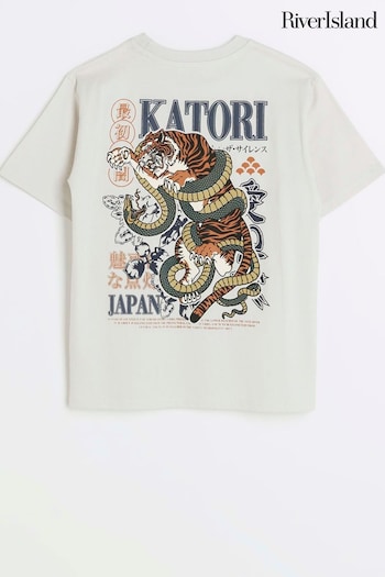River Island Grey Boys Graphic Katori Tiger T-Shirt (N79412) | £14
