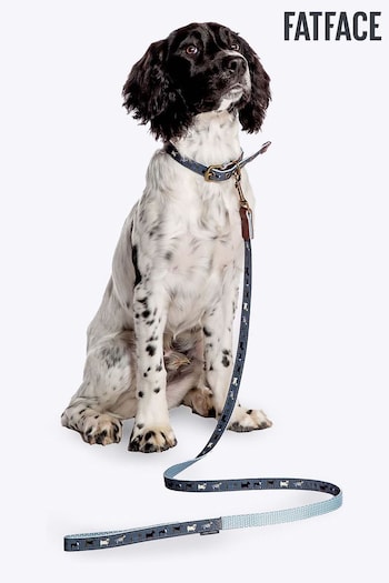FatFace Grey Dog Collar and Lead Set (N98858) | £24 - £33