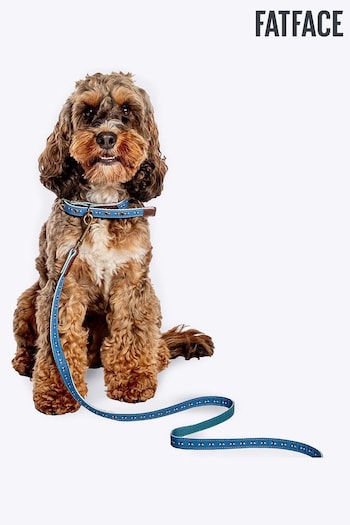 FatFace Blue Dog Collar and  Lead Set (N98908) | £24 - £33