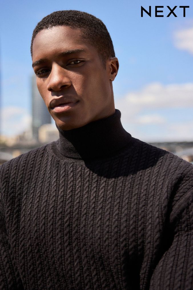 Next polo neck jumper online