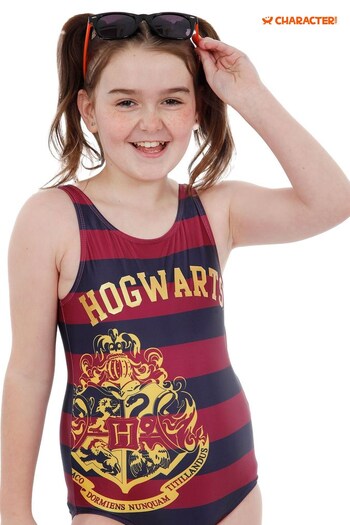 Character Burgundy and Navy Harry Potter Hogwarts Stripe Swimsuit (P50715) | £17