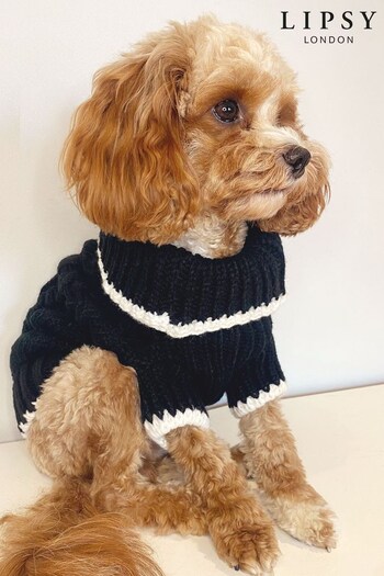 Lipsy Black Supersoft Cable Knit Whipsticth Dog Jumper (P82563) | £11 - £17
