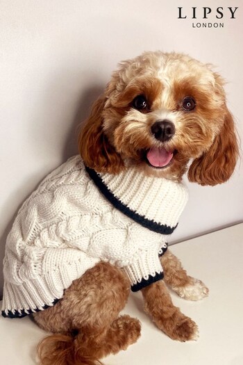 Lipsy White Supersoft Cable Knit Whipsticth Dog Jumper (P82564) | £11 - £17