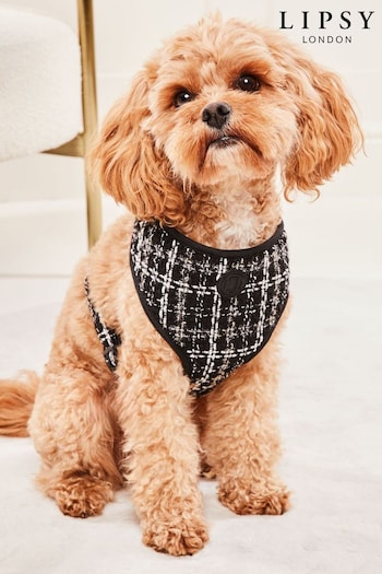 Lipsy Black Boucle Printed Dog Harness (P82570) | £22 - £26