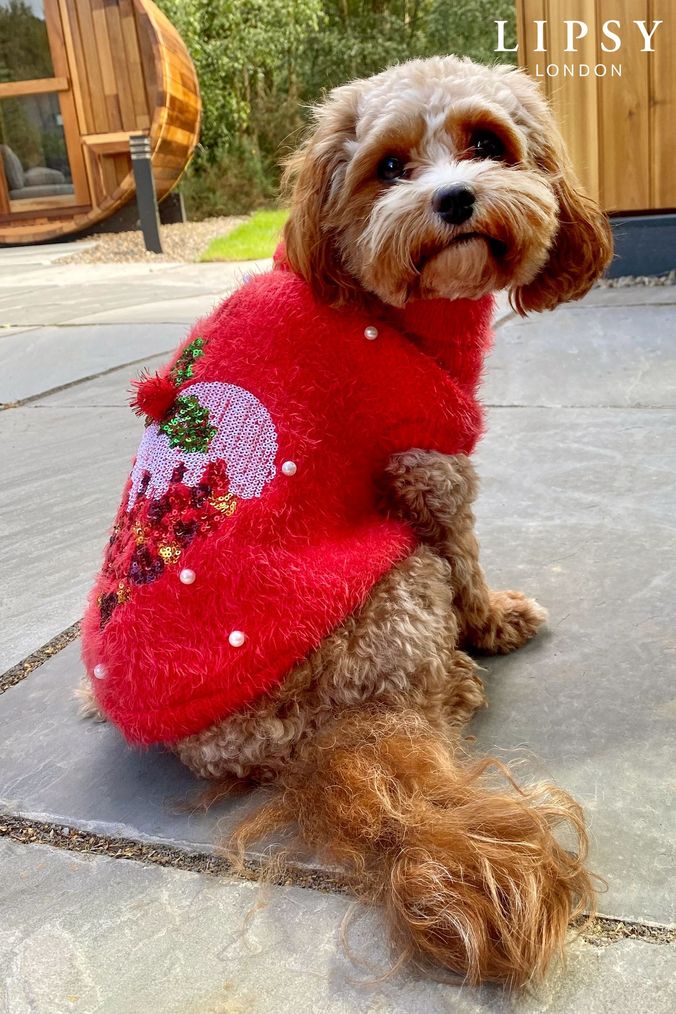 Buy Pet Coats Pets Christmasjumpers Online Next UK