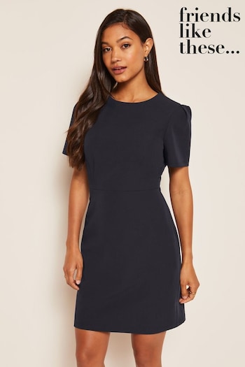 Friends Like These Navy Blue Blue Petite Short Sleeve Tailored Shift Dress (P84737) | £37