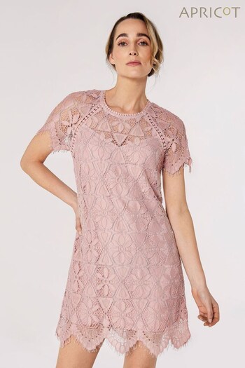 Apricot Light Pink Scallop Edge Lace Dress (P98183) | £39