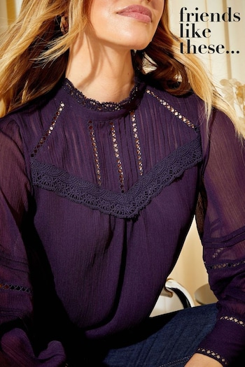 Tutus & Tulle Mesh Plum Purple Long Sleeve Lace High Neck Victorianna Blouse (P98724) | £38