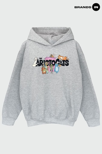 Brands In Grey Brands In The Aristocats Music Logo Girls Heather Grey Hoodie (Q36608) | £31