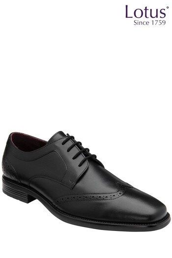 Lotus Footwear Black Leather Lace-Up Brogues (Q37653) | £55