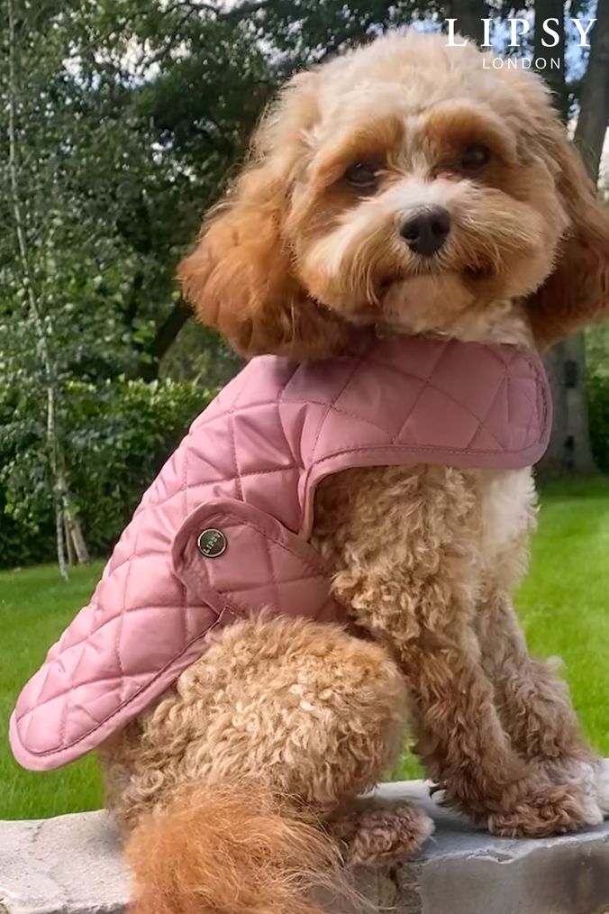 Lipsy Pink Quilted Check Pet Jacket (Q40571) | £11 - £17