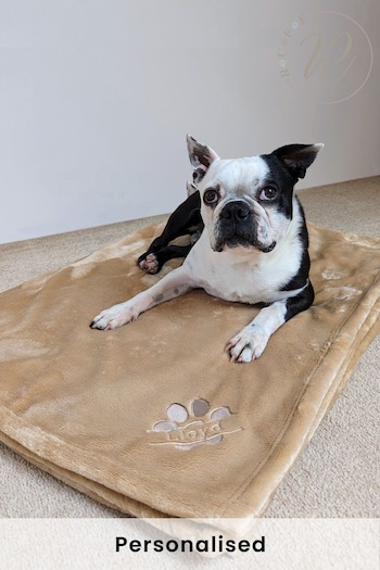 Personalised Pampered Pup Plush Blanket by Ruff (Q41863) | £35
