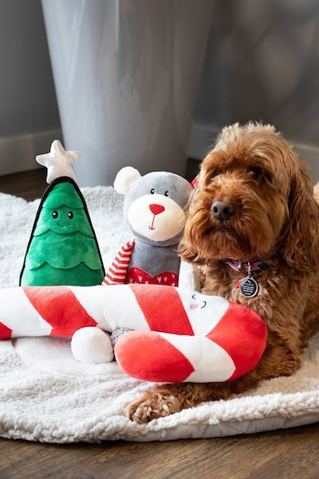 Rosewood Christmas Dog Toy Bundle Teddy Bear Candy Cane and Christmas Tree (Q48903) | £22