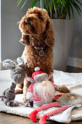 Rosewood Christmas Dog Toy Bundle Rope Donkey Santa and Gonk (Q48904) | £25