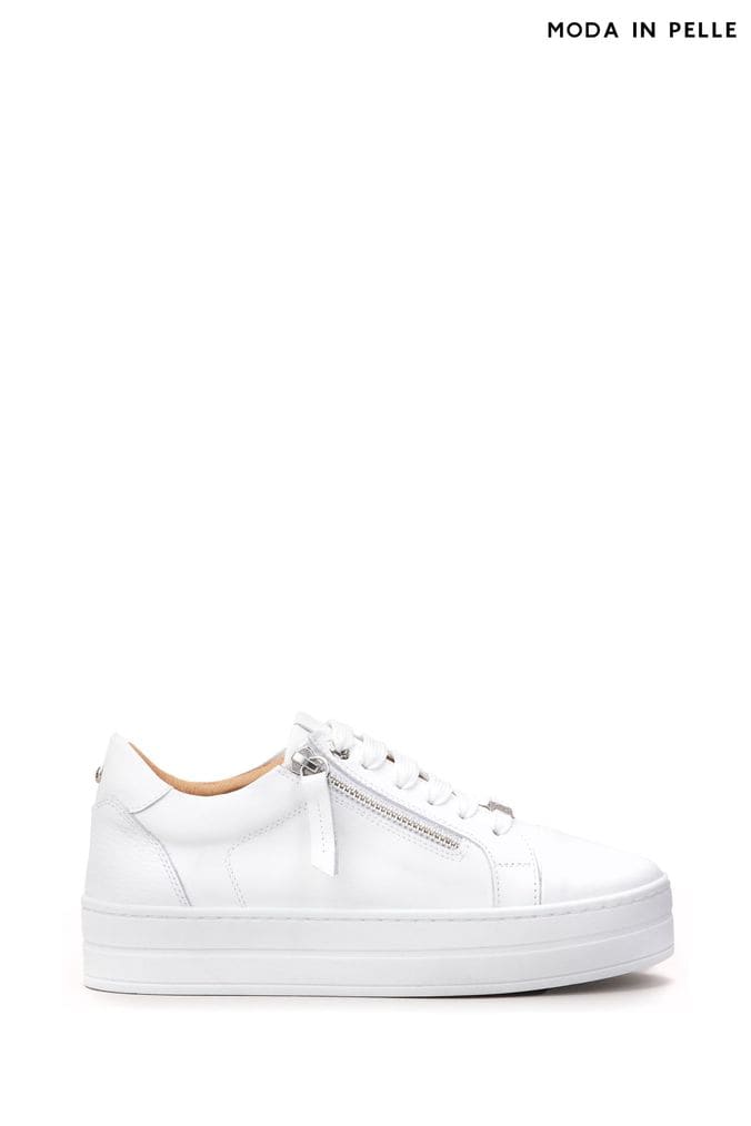 Moda in pelle alfrida trainers new arrivals