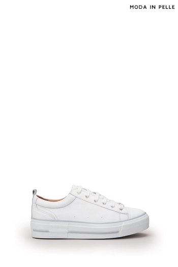 Moda In Pelle Abbiy Chunky Slab Sole Side Zip Lace Up Blue Trainers (Q49263) | £129