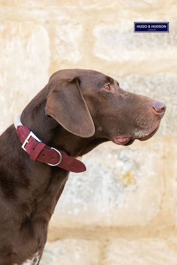 Hugo & Hudson Burgundy Red Rope and Suede Leather Dog Collar (Q51032) | £30