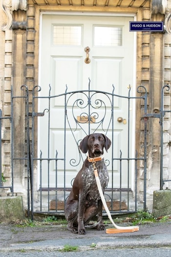 Hugo & Hudson Brown Flat Rope Leather Dog Lead (Q51046) | £37 - £39