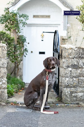 Hugo & Hudson Brown Flat Rope Leather Dog Lead (Q51050) | £35 - £39