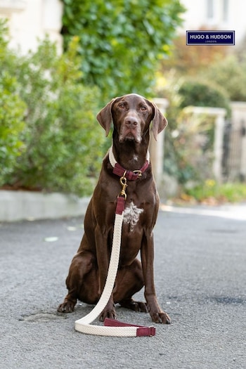 Hugo & Hudson Red Flat Rope Leather Dog Lead (Q51073) | £37 - £39