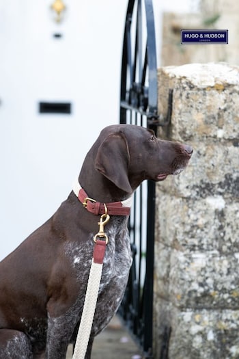 Hugo & Hudson Brown Flat Rope and Leather Dog Collar (Q51074) | £30