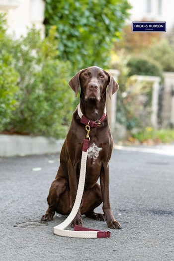 Hugo & Hudson Red Flat Rope and Leather Dog Collar (Q51076) | £30