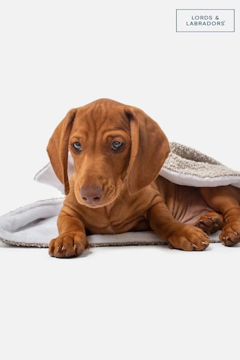 Lords and Labradors Mink Brown Dog & Puppy Boucle Blanket (Q63557) | £35 - £45