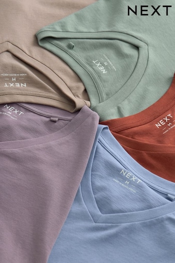 Light Grey/Blue/Green/Neutral V-Neck T-Shirts relaxed 5 Pack (Q63658) | £37