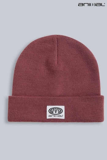 Animal Purple Womens Harley Beanie (Q69500) | £20