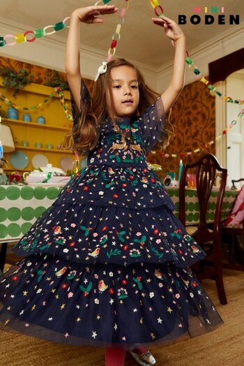 Boden Blue Tulle Embroidered Party Dress (Q72417) | £98 - £108