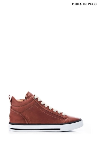 Moda in Pelle Blaize High Top Lace up Trainers (Q75222) | £129