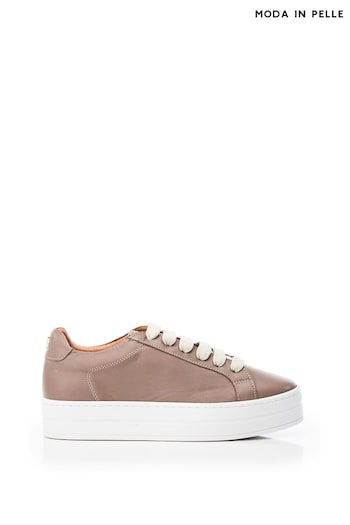 Moda in Pelle Natural Boxy Slab Unit Plain Lace-Up Trainers (Q75224) | £119