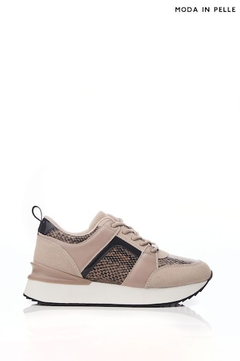 Moda in Pelle Addele Slab Sole Lace Up Trainers With Snake Pu (Q75306) | £119