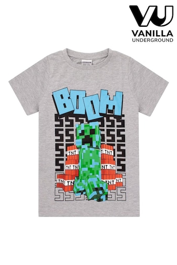 Vanilla Underground Grey Minecraft Boys Gaming T-Shirt (Q78554) | £14